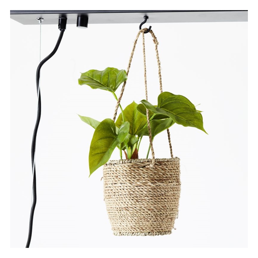 Brilliant - Luster na sajli BANKWOOD 5xE27/28W/230V topola