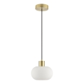 Brilliant - Luster na sajli FANNY 1xE27/20W/230V promjer 22 cm mesing