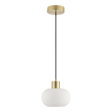 Brilliant - Luster na sajli FANNY 1xE27/20W/230V promjer 22 cm mesing