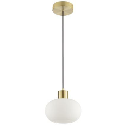 Brilliant - Luster na sajli FANNY 1xE27/20W/230V promjer 22 cm mesing