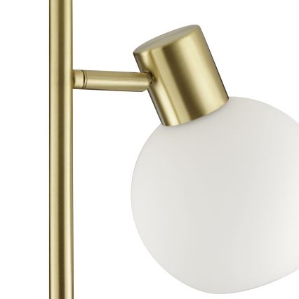 Brilliant - Podna svjetiljka CONY 1xE14/20W/230V mesing