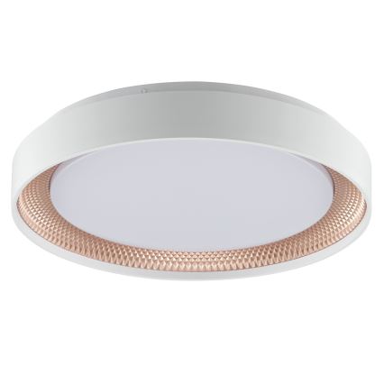 Brilliant - LED prigušiva stropna svjetiljka WALDO LED/24W/230V 3000-6500K promjer 38,5 cm bijela/ružičasto zlato + daljinski upravljač