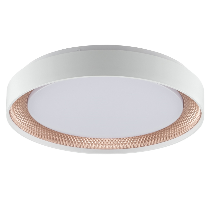 Brilliant - LED prigušiva stropna svjetiljka WALDO LED/24W/230V 3000-6500K promjer 38,5 cm bijela/ružičasto zlato + daljinski upravljač