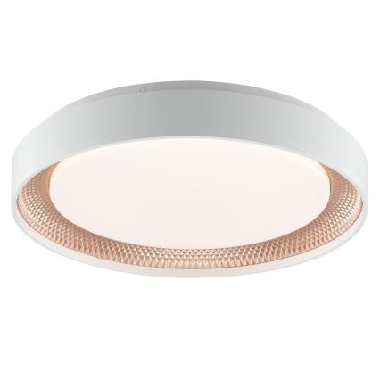Brilliant - LED prigušiva stropna svjetiljka WALDO LED/24W/230V 3000-6500K promjer 38,5 cm bijela/ružičasto zlato + daljinski upravljač