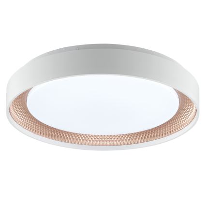 Brilliant - LED prigušiva stropna svjetiljka WALDO LED/24W/230V 3000-6500K promjer 38,5 cm bijela/ružičasto zlato + daljinski upravljač