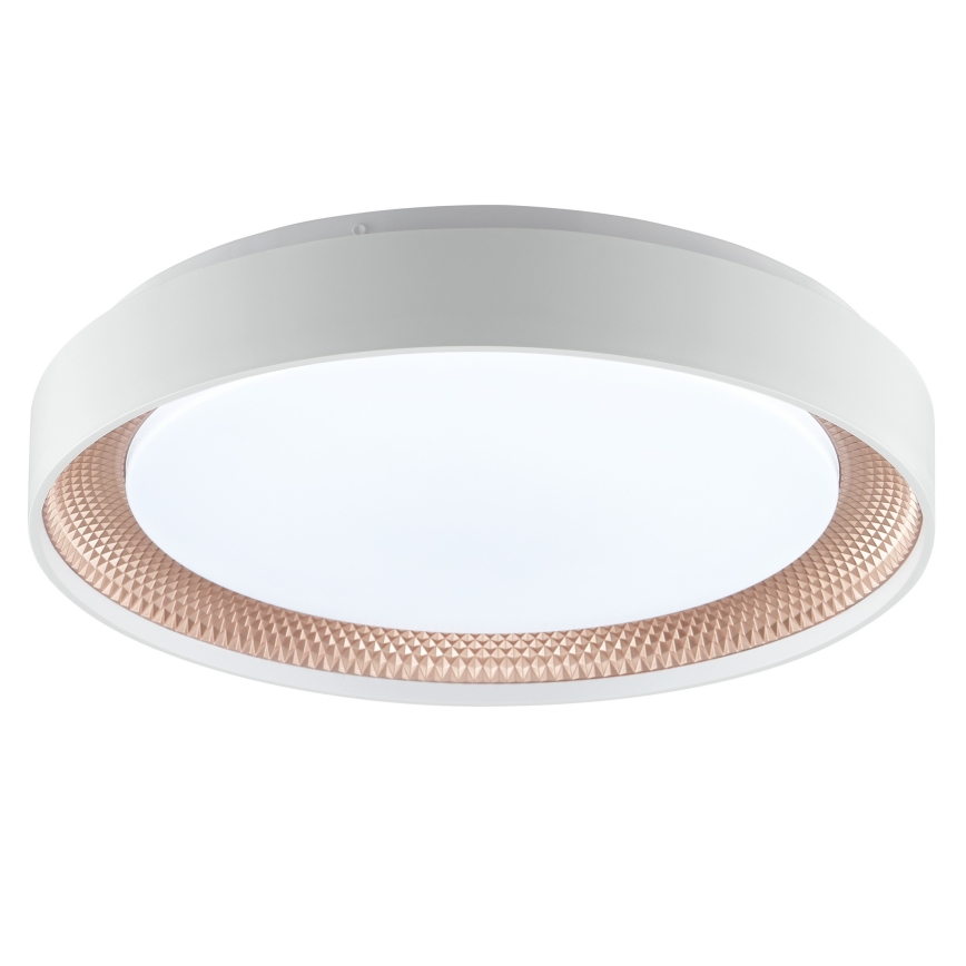 Brilliant - LED prigušiva stropna svjetiljka WALDO LED/24W/230V 3000-6500K promjer 38,5 cm bijela/ružičasto zlato + daljinski upravljač
