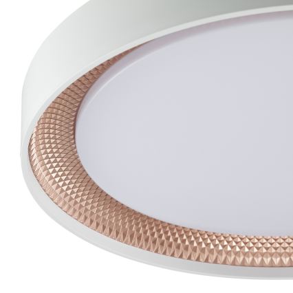Brilliant - LED prigušiva stropna svjetiljka WALDO LED/24W/230V 3000-6500K promjer 38,5 cm bijela/ružičasto zlato + daljinski upravljač
