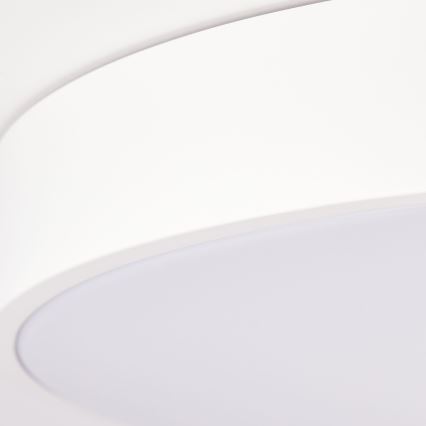 Brilliant - LED Prigušivo stropno svjetlo SLIMLINE LED/60W/230V 3000-6500K Ø 49 cm bijela + daljinski upravljač