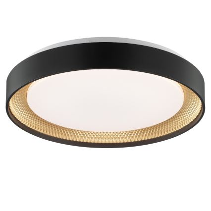 Brilliant - LED stropna svjetiljka WALDO s mogućnošću prigušenja LED/24W/230V 3000-6500K pr. 38,5 cm crna/zlatna + daljinski upravljač