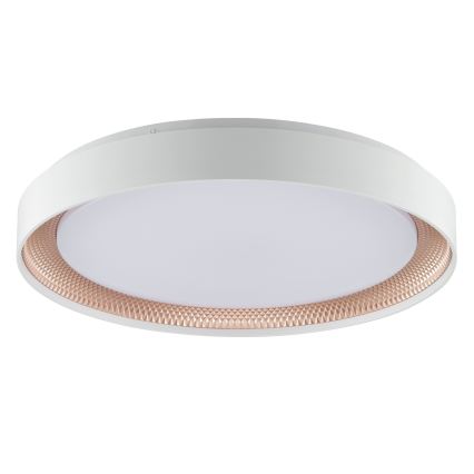 Brilliant - LED prigušivo stropno svjetlo WALDO LED/36W/230V 3000-6500K Ø 48,5 cm bijela/ružičasto zlato + daljinski upravljač