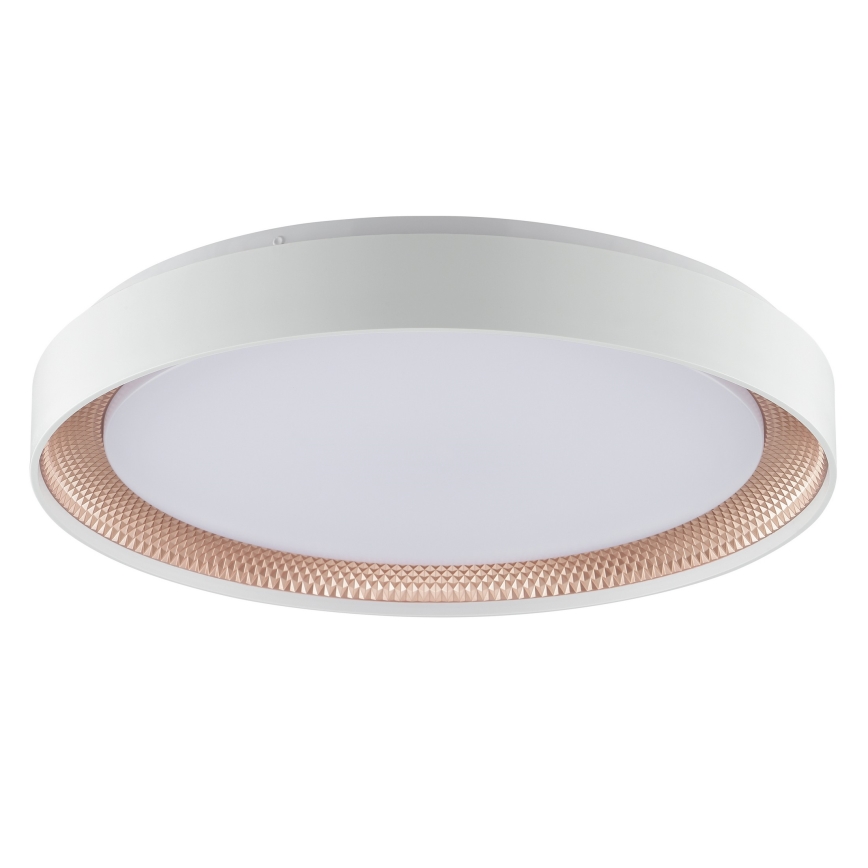Brilliant - LED prigušivo stropno svjetlo WALDO LED/36W/230V 3000-6500K Ø 48,5 cm bijela/ružičasto zlato + daljinski upravljač