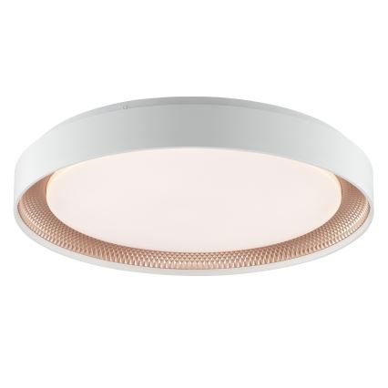 Brilliant - LED prigušivo stropno svjetlo WALDO LED/36W/230V 3000-6500K Ø 48,5 cm bijela/ružičasto zlato + daljinski upravljač