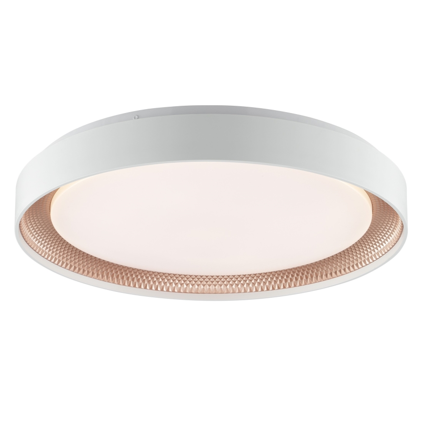 Brilliant - LED prigušivo stropno svjetlo WALDO LED/36W/230V 3000-6500K Ø 48,5 cm bijela/ružičasto zlato + daljinski upravljač