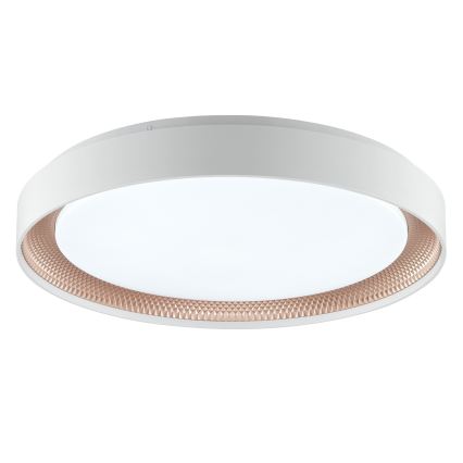 Brilliant - LED prigušivo stropno svjetlo WALDO LED/36W/230V 3000-6500K Ø 48,5 cm bijela/ružičasto zlato + daljinski upravljač