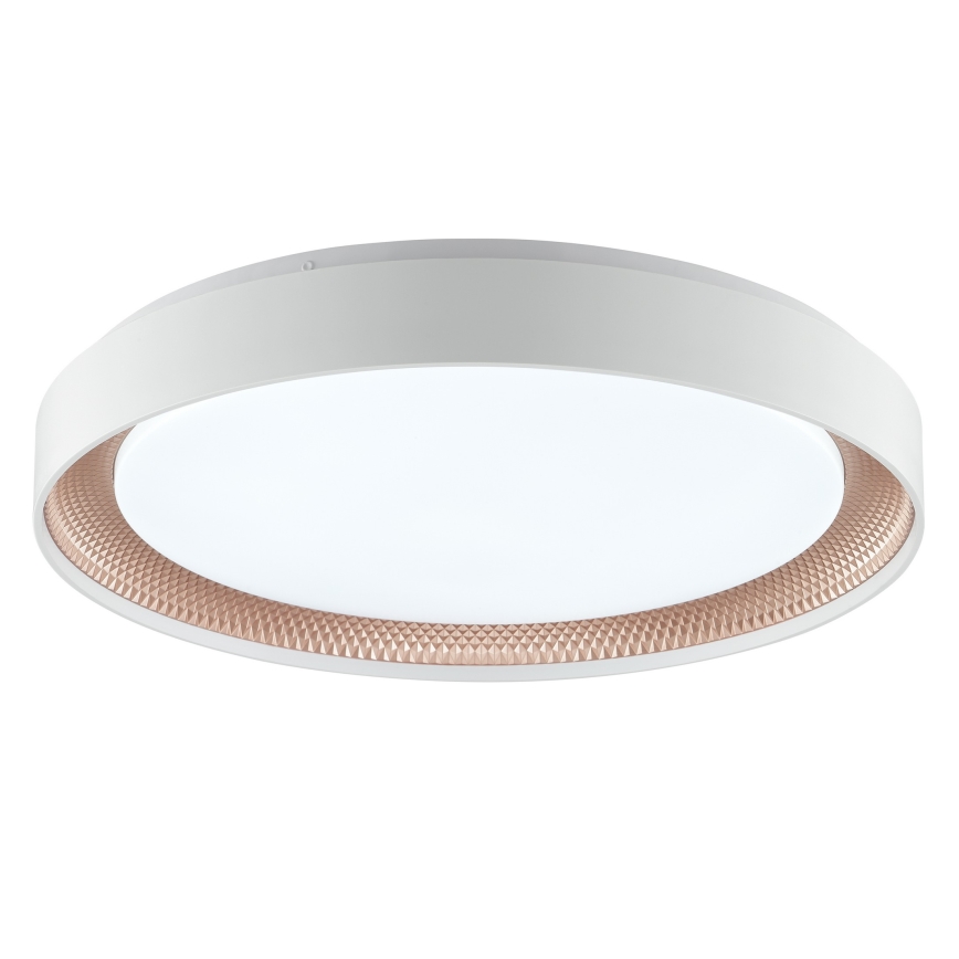 Brilliant - LED prigušivo stropno svjetlo WALDO LED/36W/230V 3000-6500K Ø 48,5 cm bijela/ružičasto zlato + daljinski upravljač