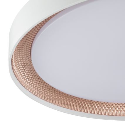 Brilliant - LED prigušivo stropno svjetlo WALDO LED/36W/230V 3000-6500K Ø 48,5 cm bijela/ružičasto zlato + daljinski upravljač