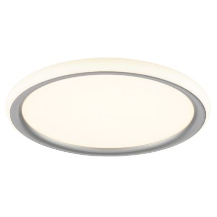 Brilliant - LED Prigušivo stropno svjetlo CARLOZ LED/16W/230V Ø 30 cm bijela/ siva