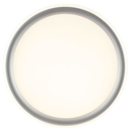 Brilliant - LED Prigušivo stropno svjetlo CARLOZ LED/16W/230V Ø 30 cm bijela/ siva
