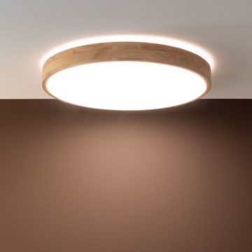 Brilliant - Stropna LED svjetiljka SLIMLINE s prigušivanjem LED/60W/230V 3000-6500K pr. 45 cm kaučukovo drvo + daljinski upravljač