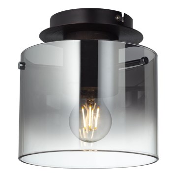Brilliant - Stropna svjetiljka BETH 1xE27/60W/230V Ø 20 cm crna/zadimljeno staklo