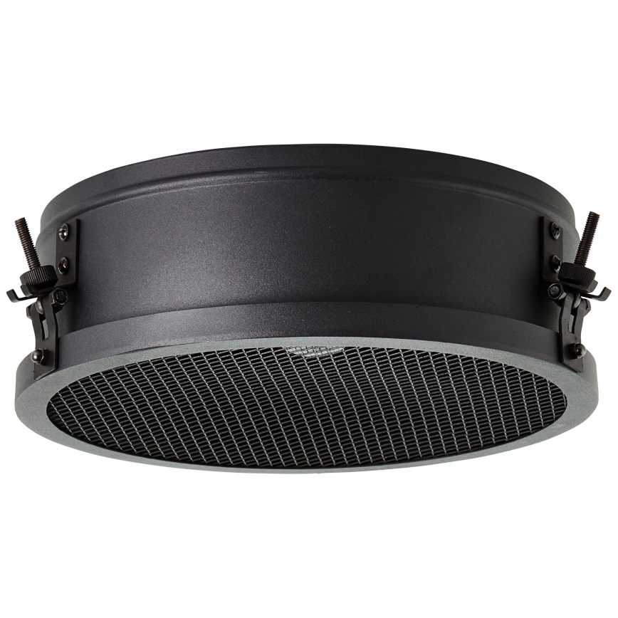 Brilliant - Stropna svjetiljka ZOIS 1xE27/60W/230V Ø 30 cm crna