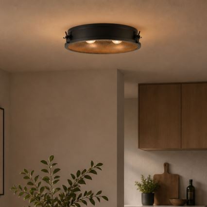 Brilliant - Stropna svjetiljka ZOIS 2xE27/28W/230V promjer 42 cm crna