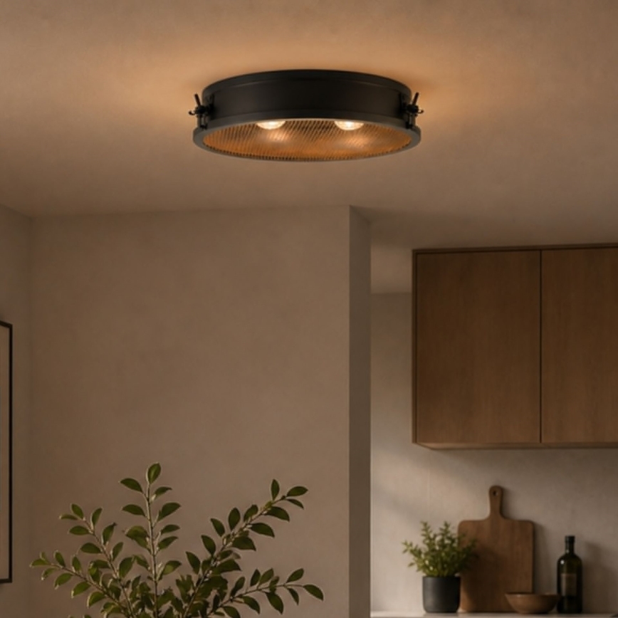 Brilliant - Stropna svjetiljka ZOIS 2xE27/28W/230V promjer 42 cm crna