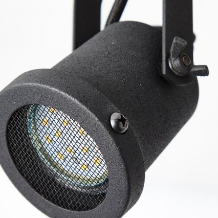 Brilliant - Stropni spot INGE 2xGU10/6W/230V borovina