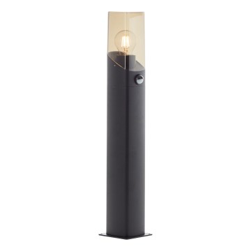 Brilliant - Vanjska lampa sa senzorom MINOU 1xE27/10W/230V IP44 crna/dimna