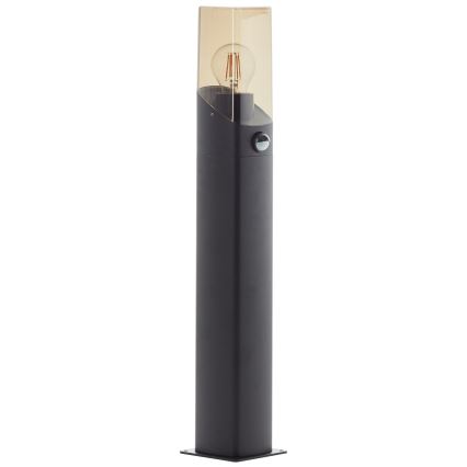 Brilliant - Vanjska lampa sa senzorom MINOU 1xE27/10W/230V IP44 crna/dimna