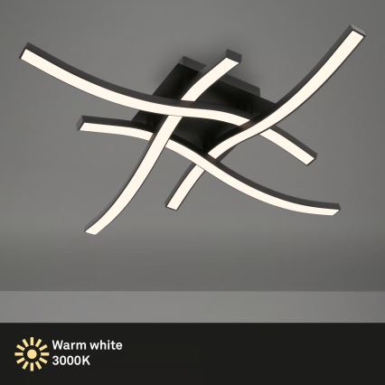 Brilo 3677-045 - LED stropna svjetiljka LED/14,4W/230V