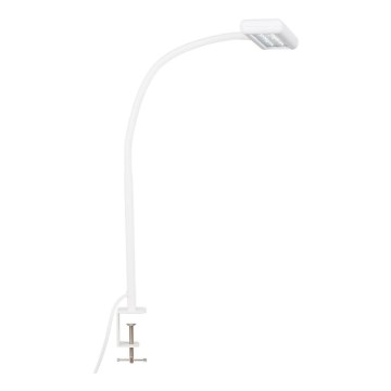 Brilo - LED Fleksibilna stolna lampa s kopčom TRASNA LED/7,5W/230V bijela