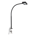 Brilo - LED Fleksibilna stolna lampa s kopčom TRASNA LED/7,5W/230V crna