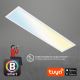 Brilo - LED Prigušiva stropna svjetiljka PIATTO LED/28W/230V 3000-6500K Wi-Fi Tuya + daljinski upravljač