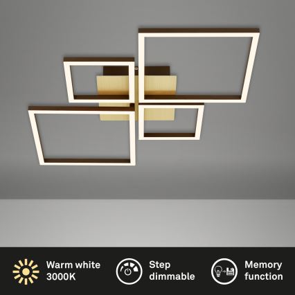 Brilo - LED Prigušivi nadgradni luster FRAME LED/44W/230V