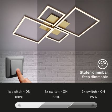 Brilo - LED Prigušivi nadgradni luster FRAME LED/44W/230V