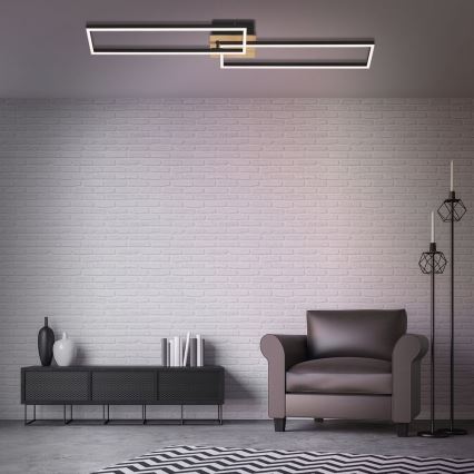 Brilo - LED stropna lampa s prigušivanjem FRAME 2xLED/20W/230V 2700-5000K + daljinski upravljač