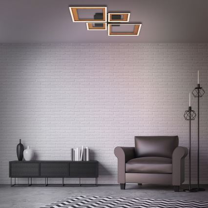 Brilo - LED stropna lampa s prigušivanjem FRAME LED/38W/230V