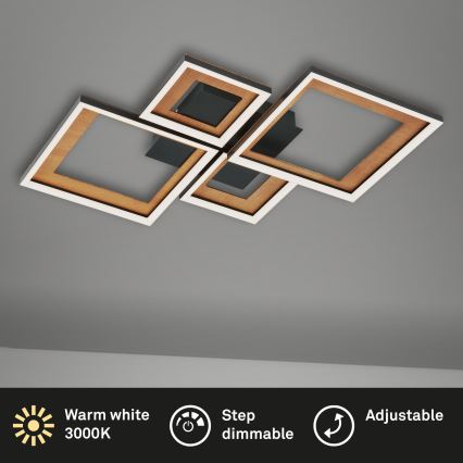 Brilo - LED stropna lampa s prigušivanjem FRAME LED/38W/230V