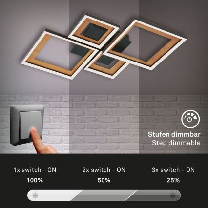 Brilo - LED stropna lampa s prigušivanjem FRAME LED/38W/230V