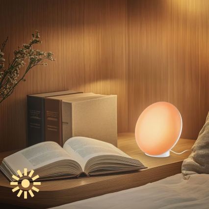 Brilo - LED RGBIC s prigušivanjem, punjiva stolna lampa TARA LED/6W/5V 3000-6500K Wi-Fi Tuya + daljinski upravljač