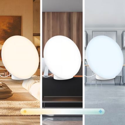 Brilo - LED RGBIC prigušivačka stolna lampa TARA LED/6W/230V 3000-6500K bijela + daljinski upravljač