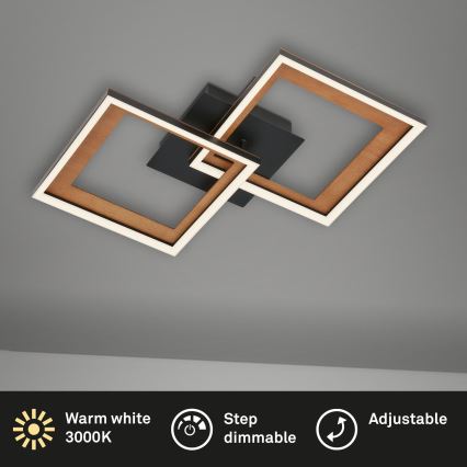 Brilo - LED stropna lampa s prigušivanjem FRAME 2xLED/11W/230V