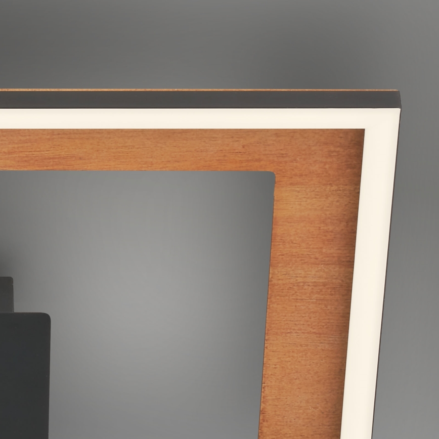 Brilo - LED stropna lampa s prigušivanjem FRAME 2xLED/11W/230V