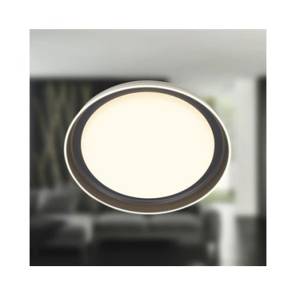 Brilo - LED stropna svjetiljka IJUS LED/24W/230V 3000K promjer 43 cm