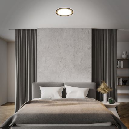 Brilo - LED stropna svjetiljka s prigušivanjem SLIM LED/22W/230V 2700-6500K + daljinski upravljač