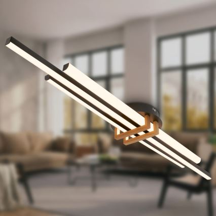 Brilo - LED stropna svjetiljka TINKA LED/30W/230V 3000K crna