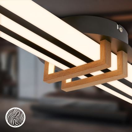 Brilo - LED stropna svjetiljka TINKA LED/30W/230V 3000K crna