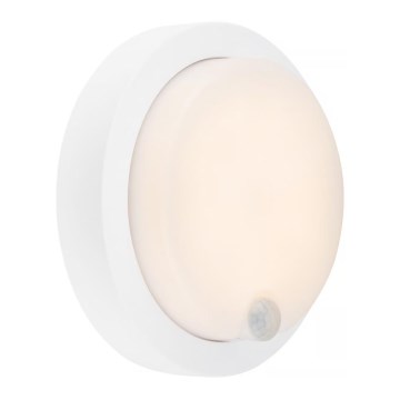 Brilo - Punjivo vanjsko zidno LED svjetlo s senzorom, 4W/5V, 4400 mAh, IP44, bijelo