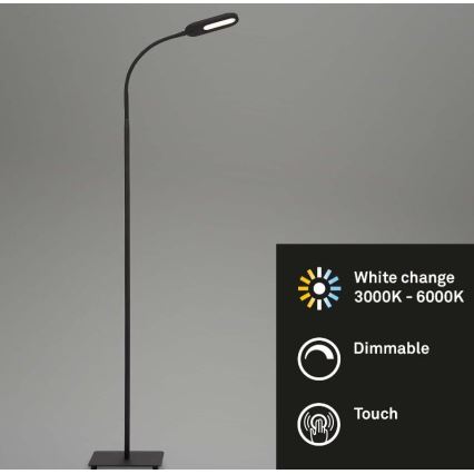 Briloner 1297-015 - LED Prigušiva fleksibilna podna lampa LED/6,6W/230V 3000K/4000K/6000K